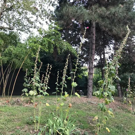 Tra S.orsola E Fiera Bolonia