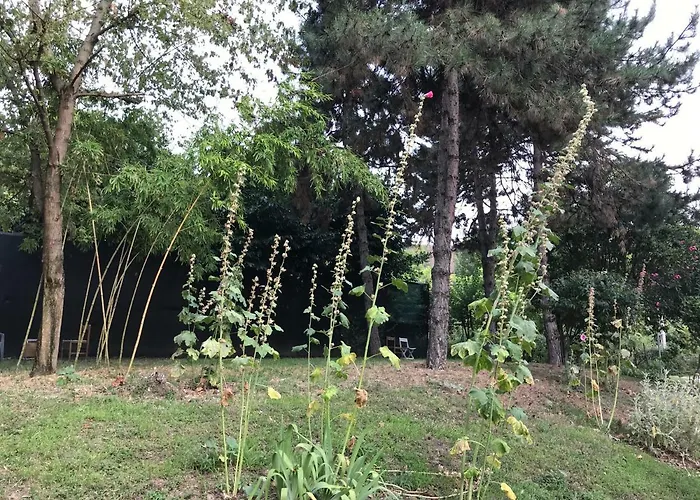 Tra S.orsola E Fiera Bologna