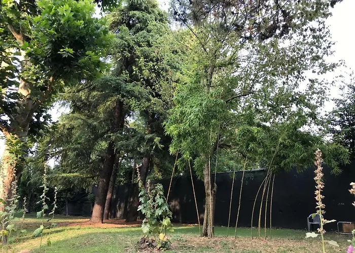 Tra S.orsola E Fiera